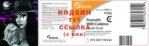 хмурый Верея
