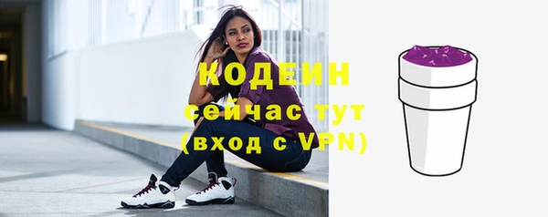 хмурый Верея