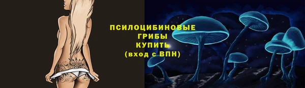 spice Верхний Тагил