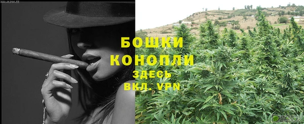 хмурый Верея