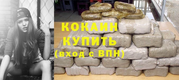 хмурый Верея